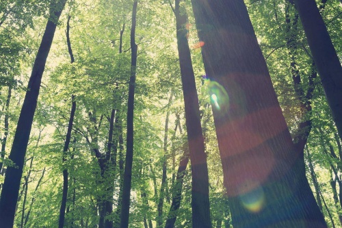 五行属木的城市有哪些?